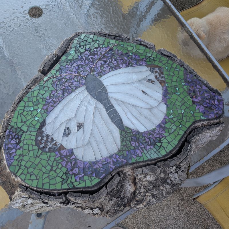 The Butterfly Mosaic on a Tree Stump is Finished! 🦋