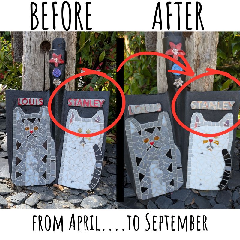Can You Use Paint on Outdoor Mosaics? My 5-Month Outdoor Test